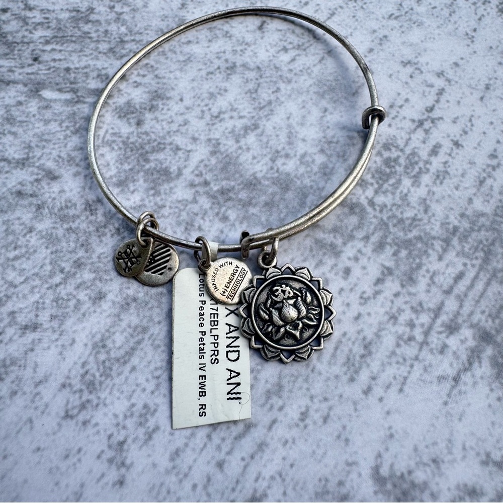Alex and Ani Silver Bangle Bracelet with Charms